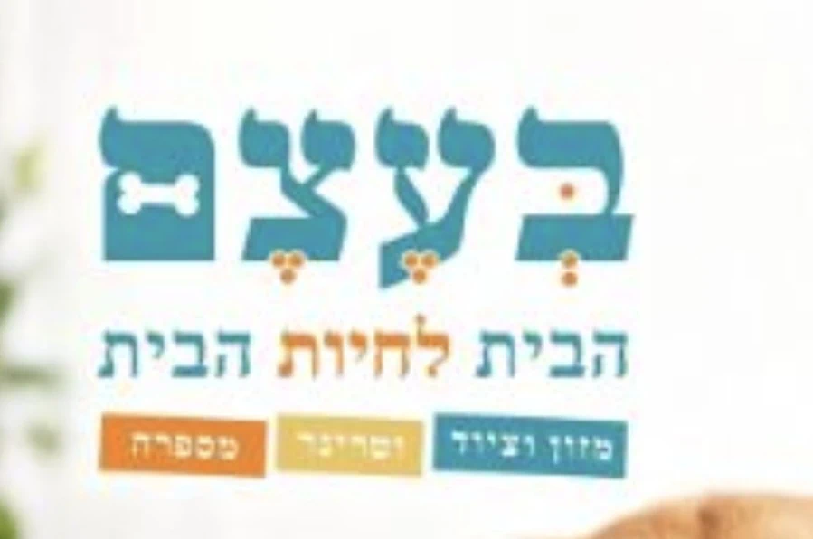 לוגו רשת בעצם